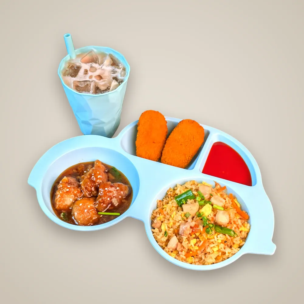 Chicken Fried Rice with Soy Glazed Honey Chicken